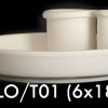4plo-t01